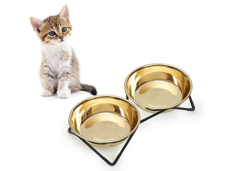 How deep should a cat bowl be?